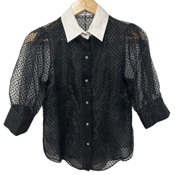 Zara Black Sheer Swiss Dot Blouse White Collar SZ Small Gothic Glamour NWT - Picture 1 of 8